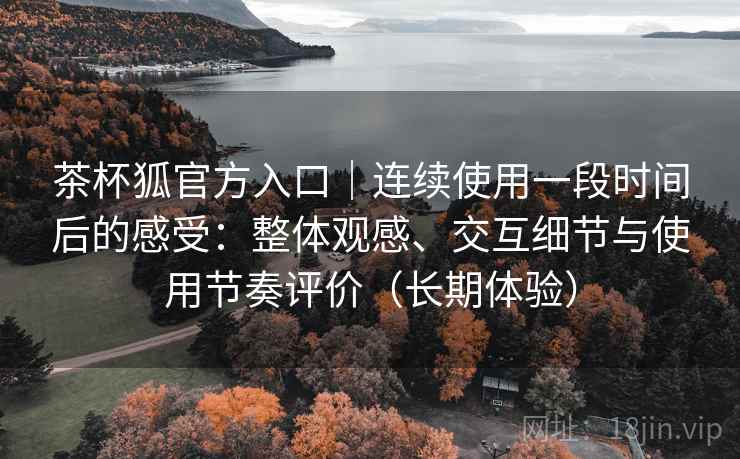 茶杯狐官方入口｜连续使用一段时间后的感受：整体观感、交互细节与使用节奏评价（长期体验）
