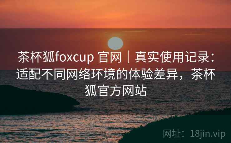 茶杯狐foxcup 官网｜真实使用记录：适配不同网络环境的体验差异，茶杯狐官方网站