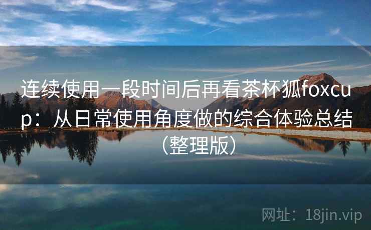连续使用一段时间后再看茶杯狐foxcup：从日常使用角度做的综合体验总结（整理版）
