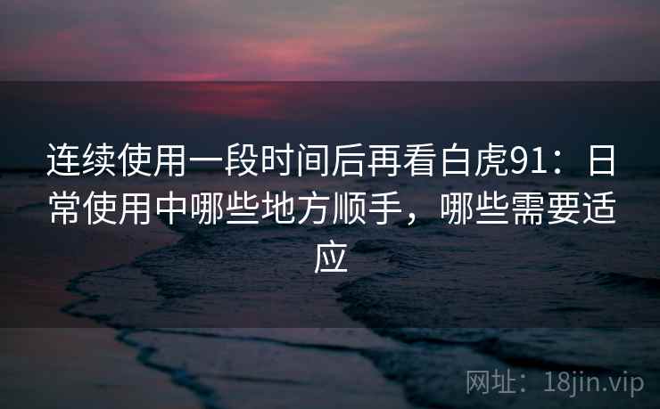 连续使用一段时间后再看白虎91：日常使用中哪些地方顺手，哪些需要适应