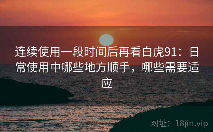 连续使用一段时间后再看白虎91:日常使用中哪些地方顺手,哪些需要适应 连续使用一段时间后再看白虎91:日常使用中哪些地方顺手,哪些需要适应