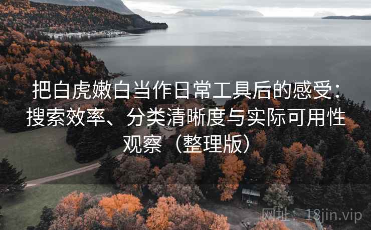 把白虎嫩白当作日常工具后的感受：搜索效率、分类清晰度与实际可用性观察（整理版）