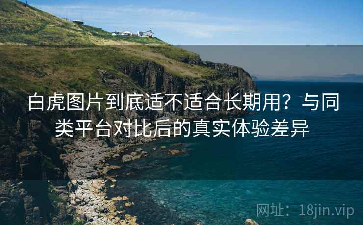 白虎图片到底适不适合长期用?与同类平台对比后的真实体验差异 白虎图片到底适不适合长期用?与同类平台对比后的真实体验差异