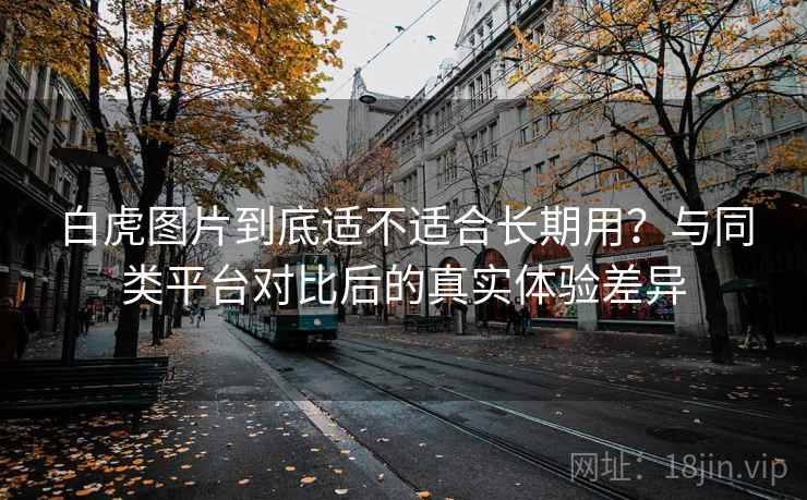 白虎图片到底适不适合长期用？与同类平台对比后的真实体验差异