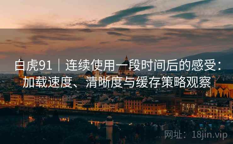 白虎91｜连续使用一段时间后的感受：加载速度、清晰度与缓存策略观察