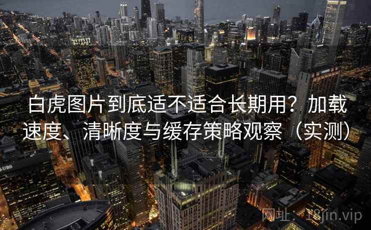 白虎图片到底适不适合长期用？加载速度、清晰度与缓存策略观察（实测）